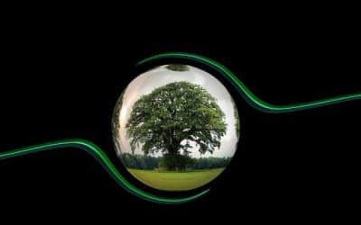 The Importance of Eco-Friendly Construction Practices