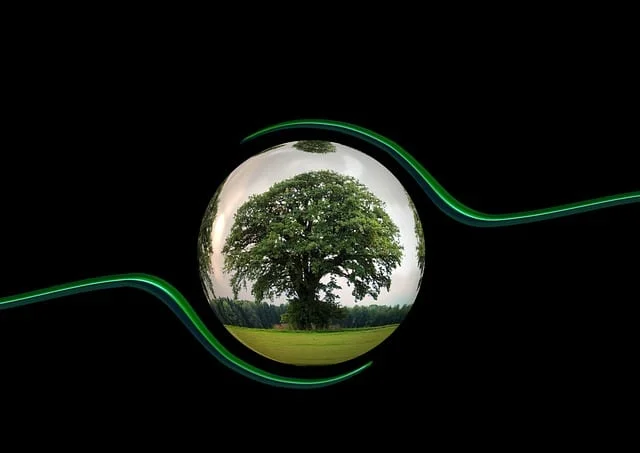 The Importance of Eco-Friendly Construction Practices